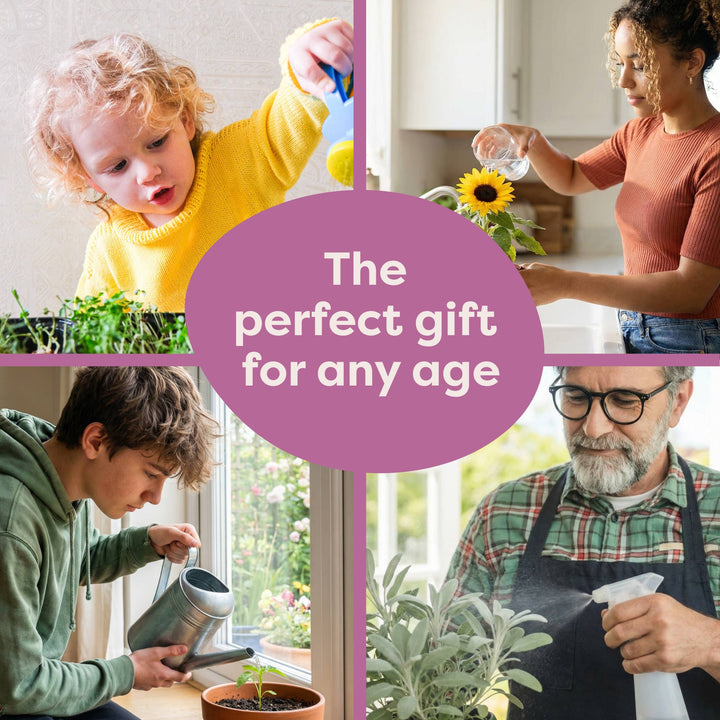 Indoor Fruit Jar Garden Kit