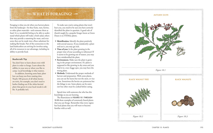 Bushcraft Illustrated