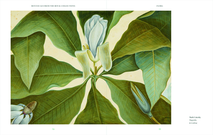 Botanicals