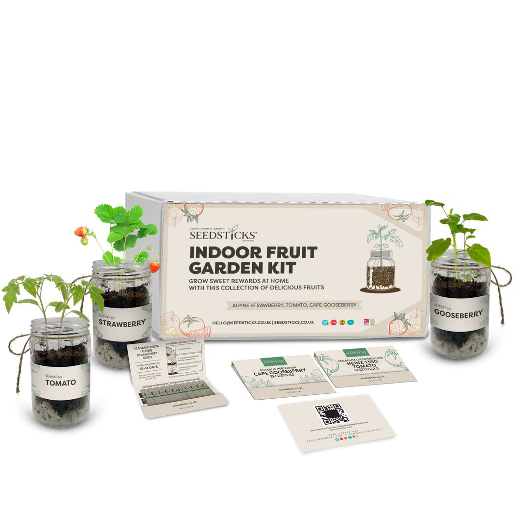 Indoor Fruit Jar Garden Kit