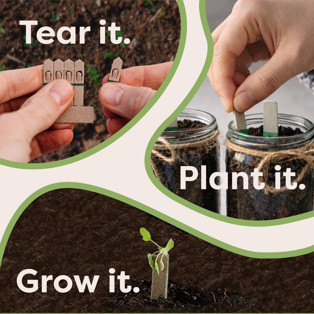 Indoor Fruit Jar Garden Kit