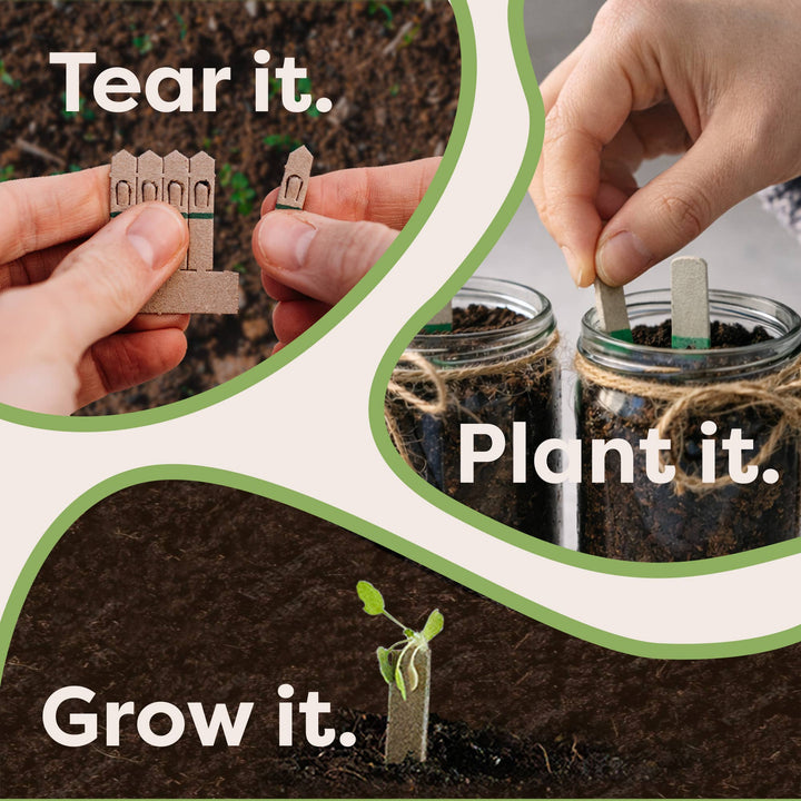 Indoor Fruit Jar Garden Kit