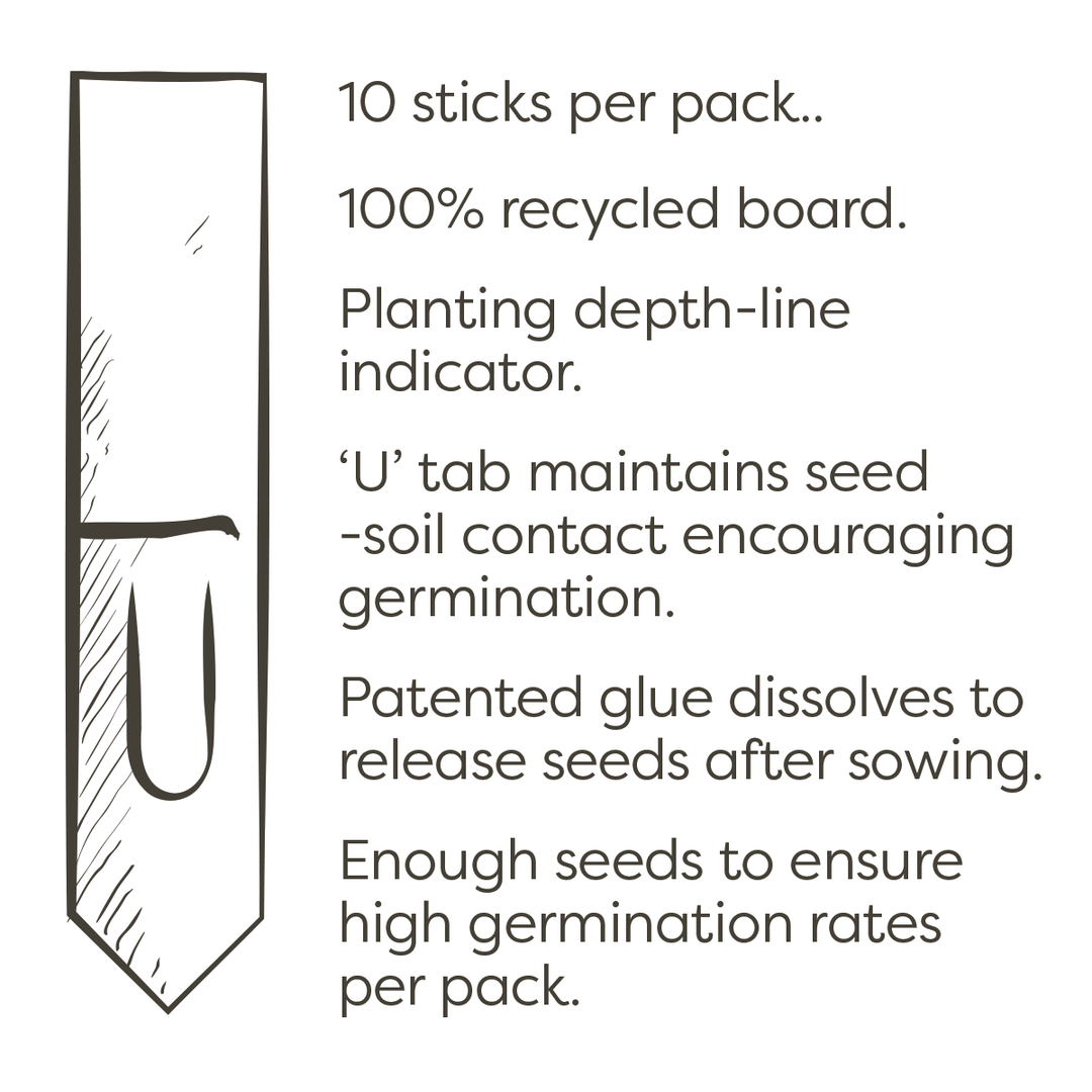 Cocktail Bar Seedsticks®