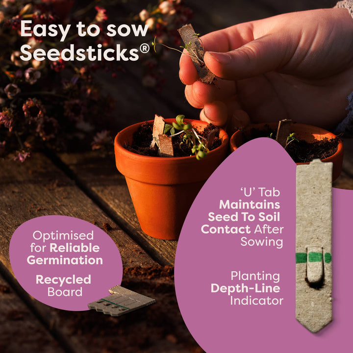Indoor Fruit Jar Garden Kit