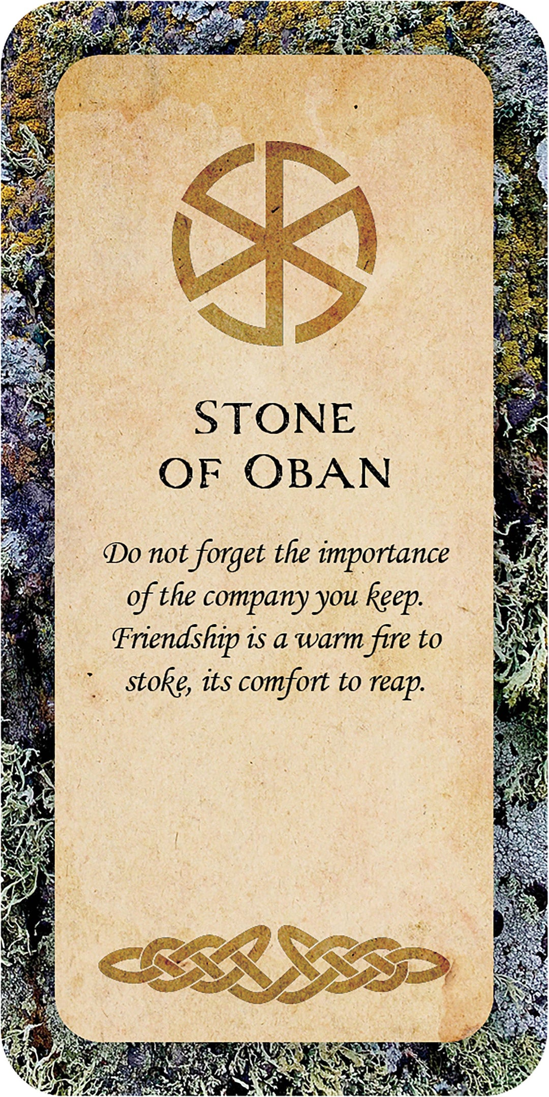 Druid Wisdom