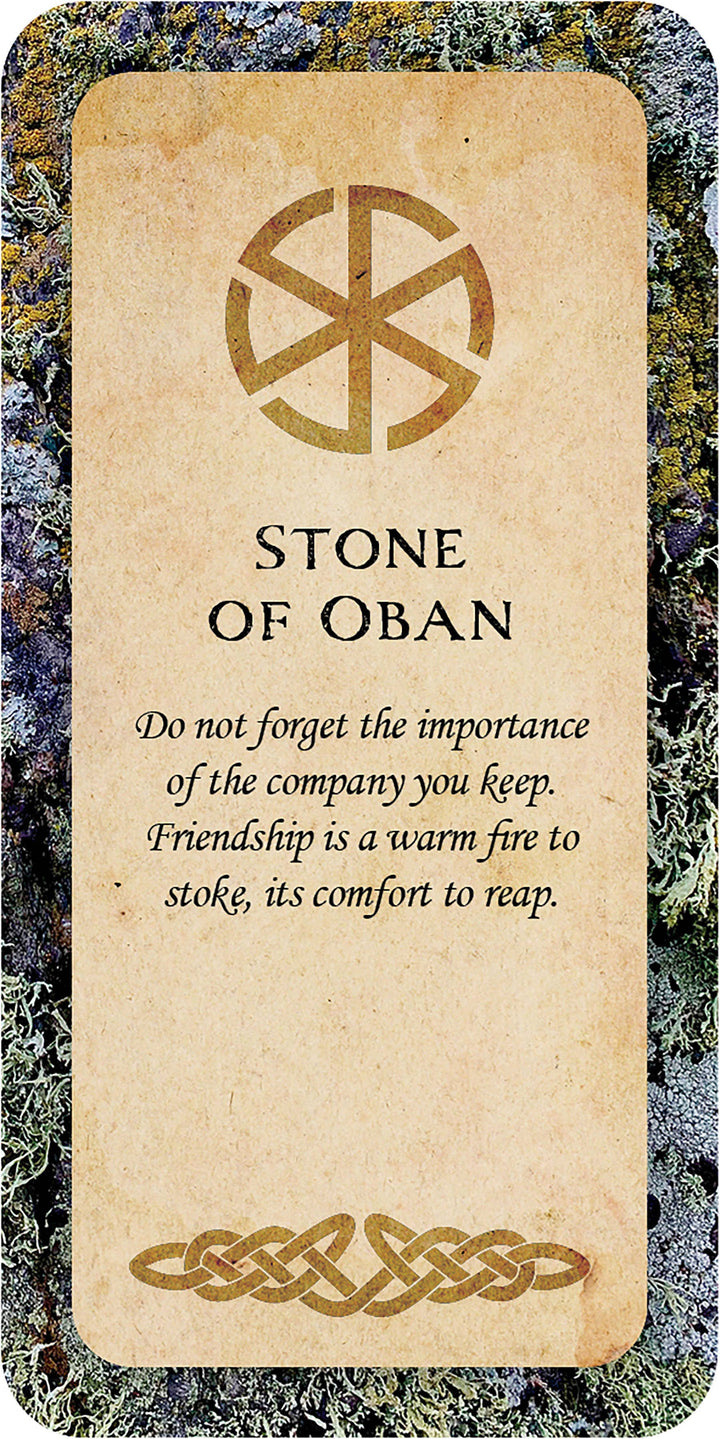 Druid Wisdom