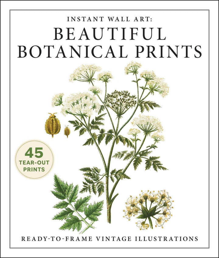 Instant Wall Art: Beautiful Botanical Prints by Adams Media: Paperback; 96 pages / English